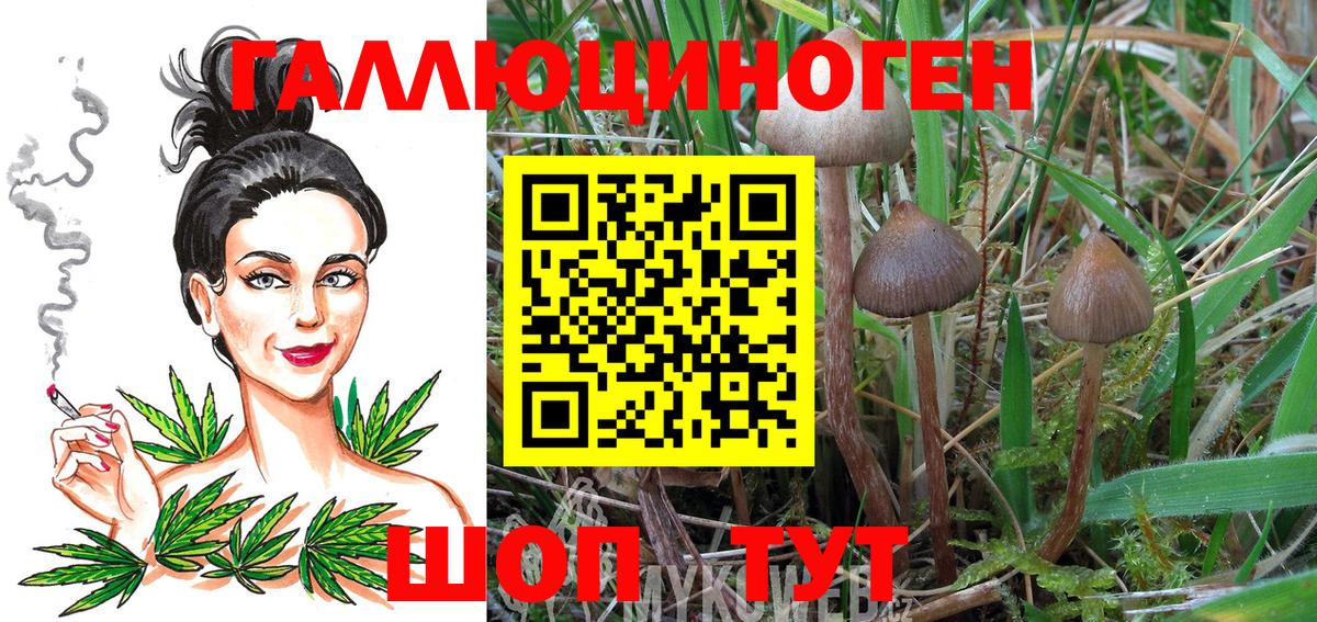Галлюциногенные грибы Magic Shrooms Всеволожск